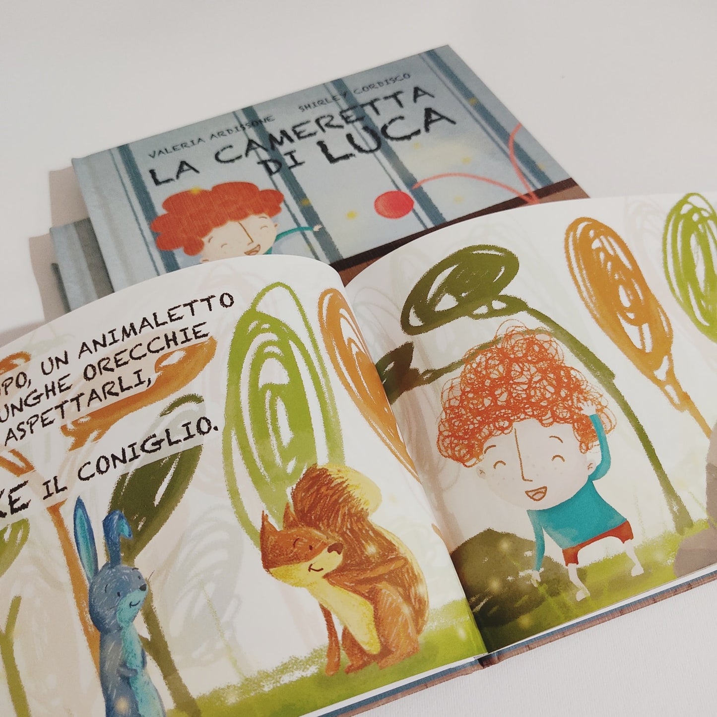 Libro Illustrato "La Cameretta di Luca"
