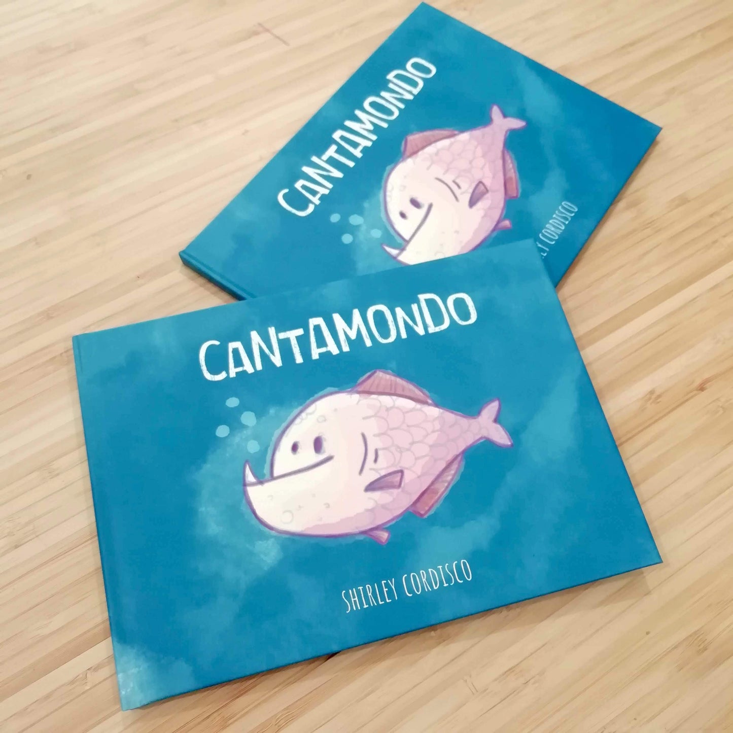 Libro Illustrato "Cantamondo"