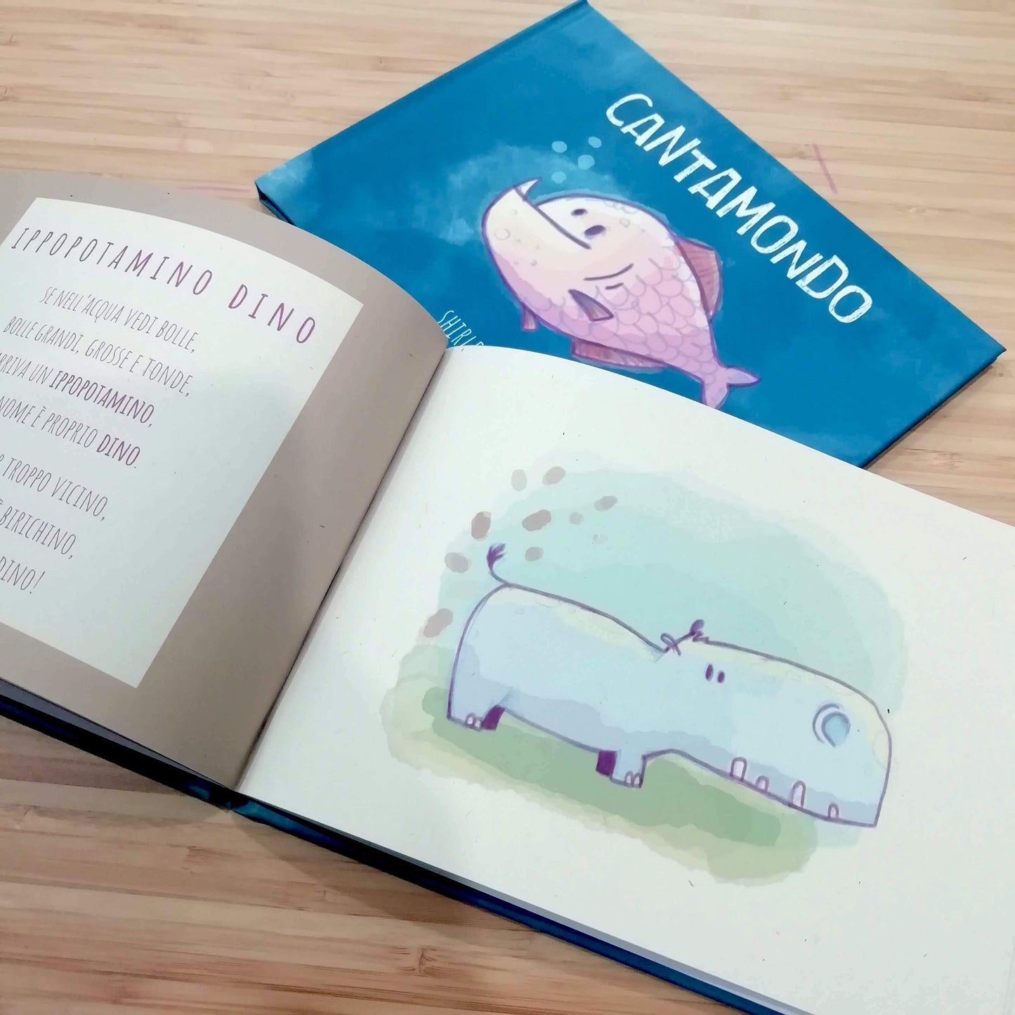 Libro Illustrato "Cantamondo"