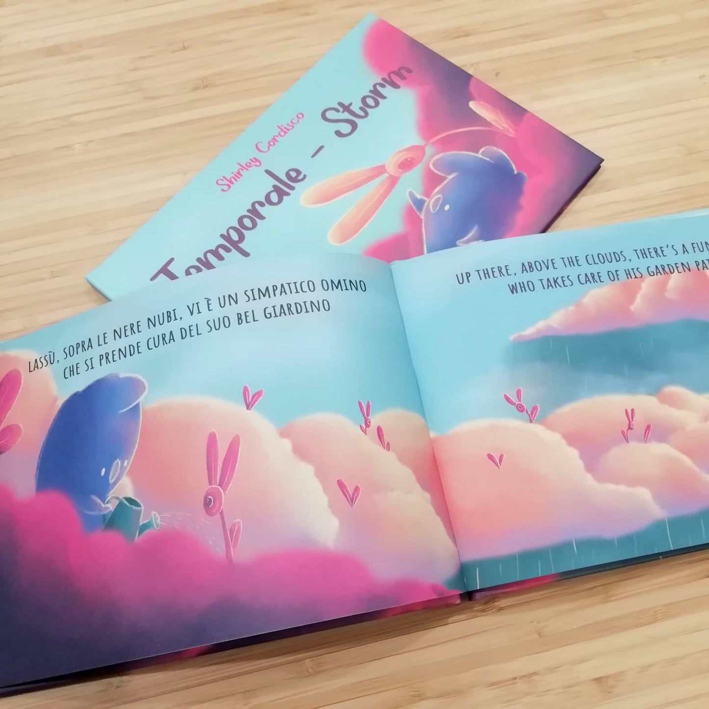 Libro Illustrato "Temporale - Storm"