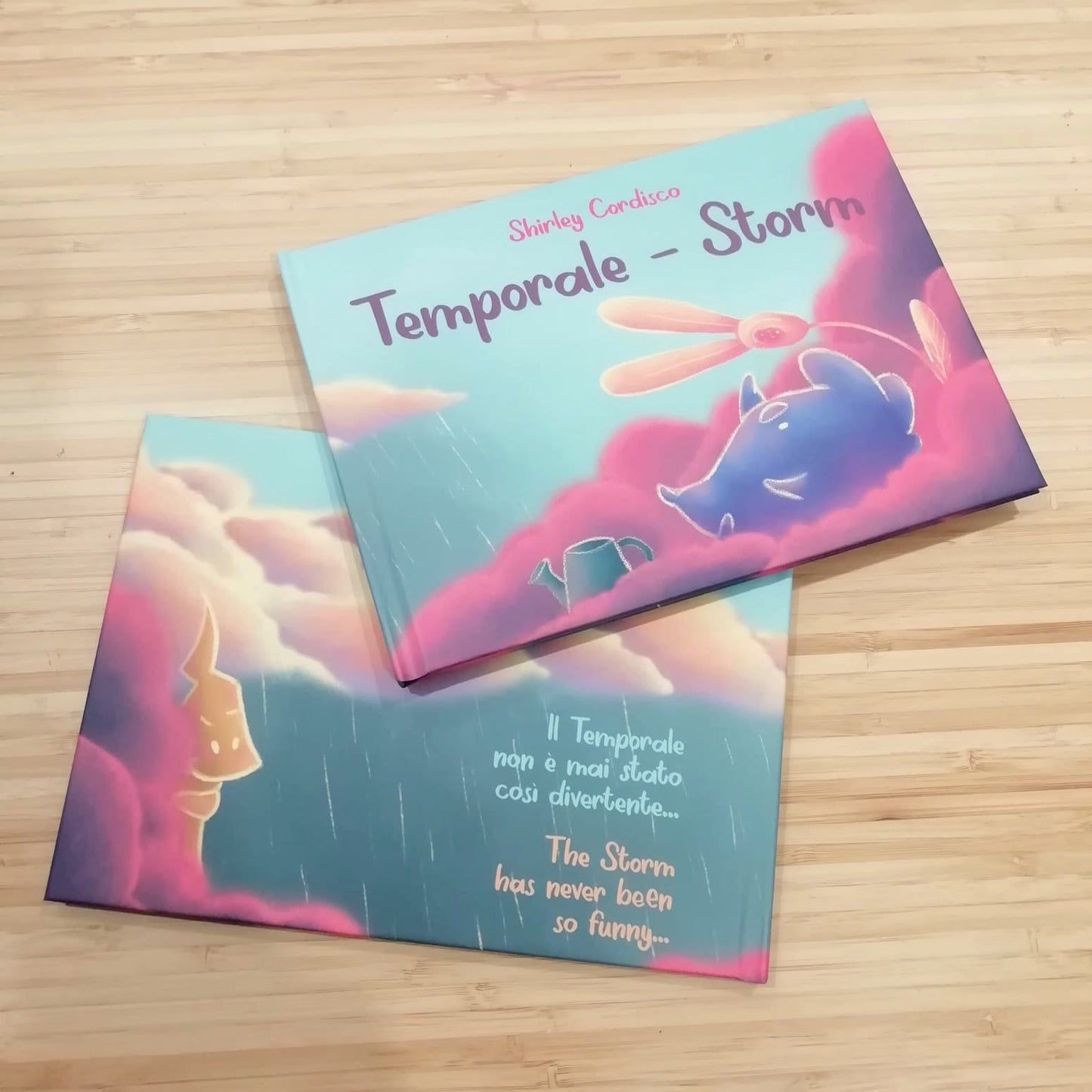 Libro Illustrato "Temporale - Storm"