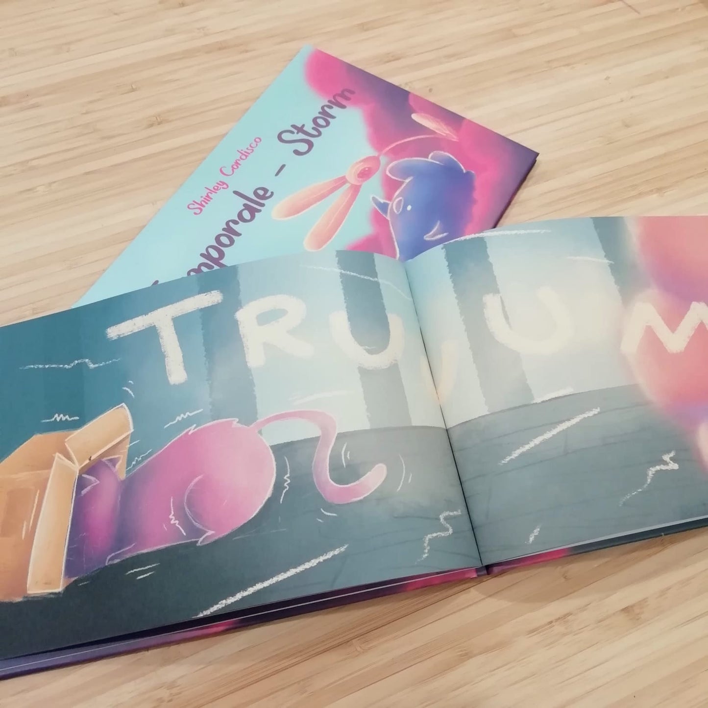 Libro Illustrato "Temporale - Storm"