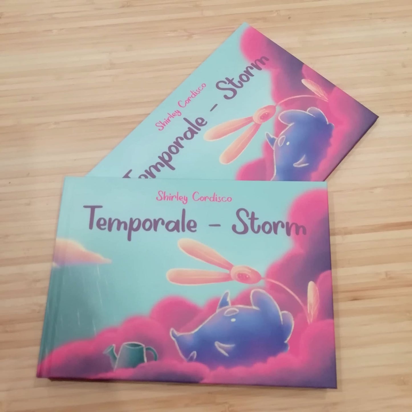 Libro Illustrato "Temporale - Storm"